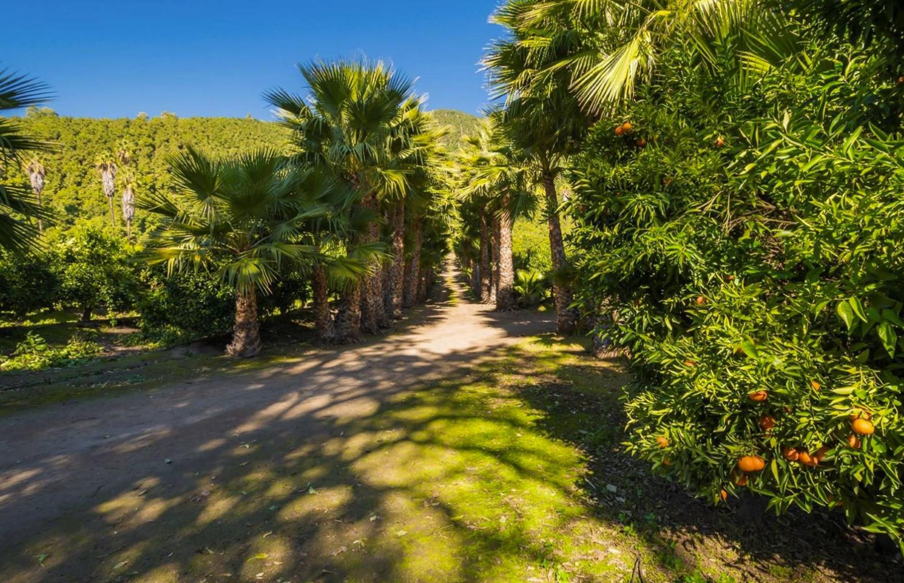 Ranches for sale that are fit for a cowboy (copy)